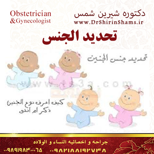 تحدید الجنس