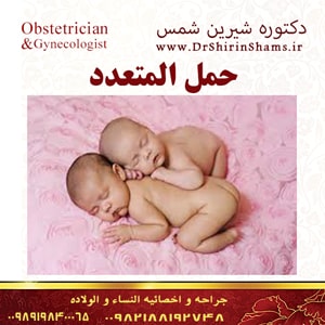 حمل المتعدد   